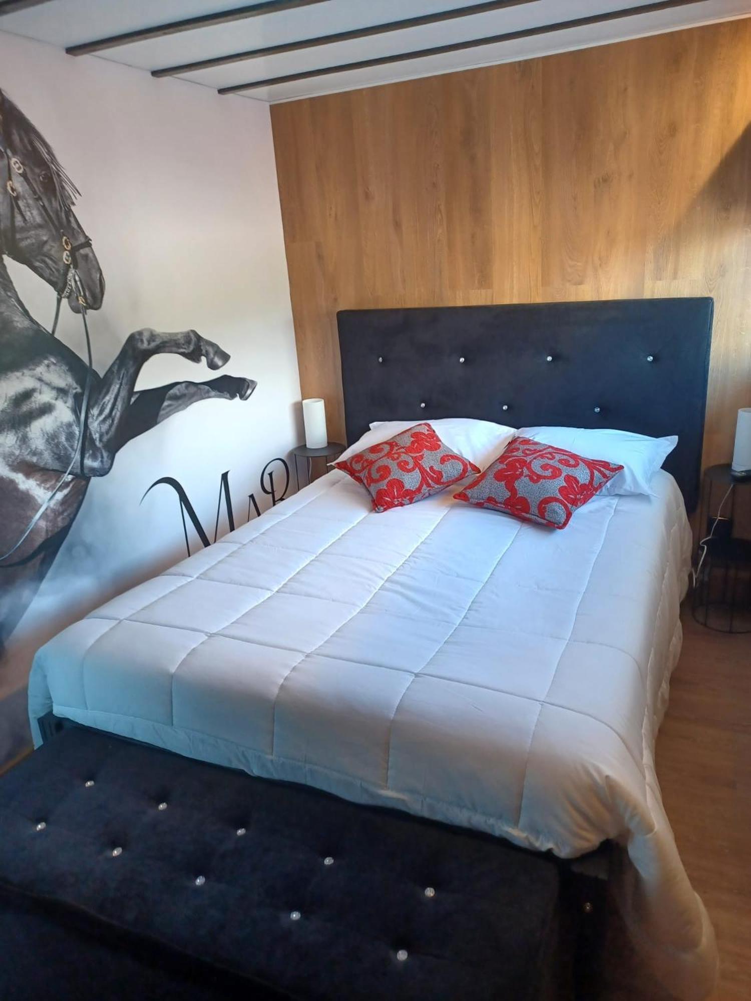 Leonchic - Guest House Com Piscina De Agua Salgada Barcelos Ngoại thất bức ảnh